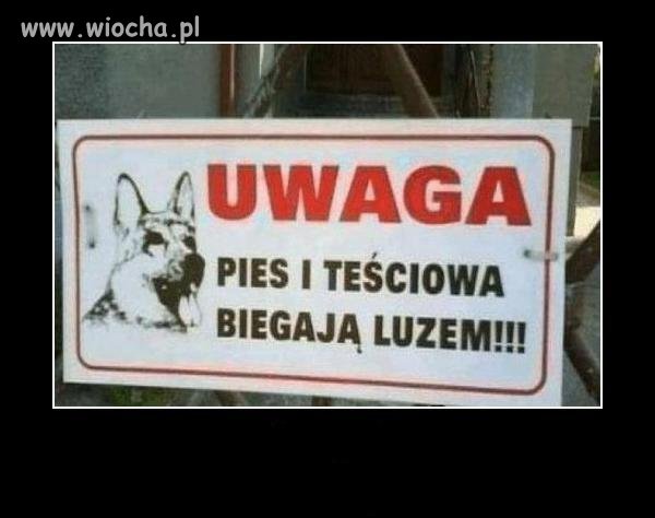 Uwaga