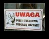 Uwaga