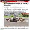 Tylko SE wie jak siać panikę