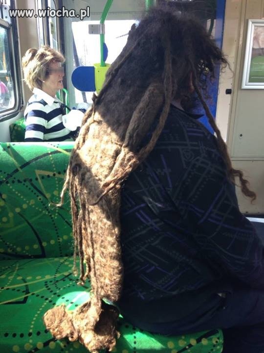 Tymczasem w autobusie...