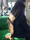 Tymczasem w autobusie...