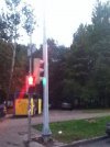 Inteligencja niektórych wykonawców