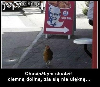 Zła sie nie ulęknę 