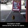 Zła sie nie ulęknę 