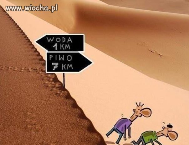 Niektórzy mają dziwne priorytety