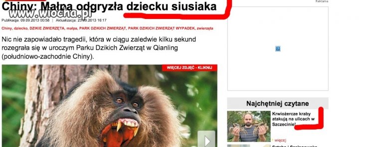 Czy naprawdę..