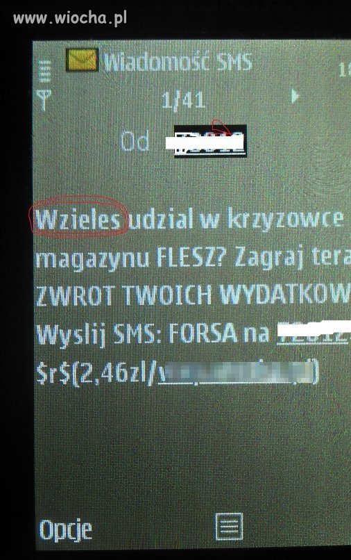 Wziełeś udział ?