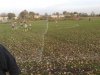 Niedzielny mecz Dąbrówka Tczewska