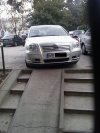 Inteligencja