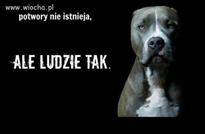 Proste słowa, które wiele znaczą...