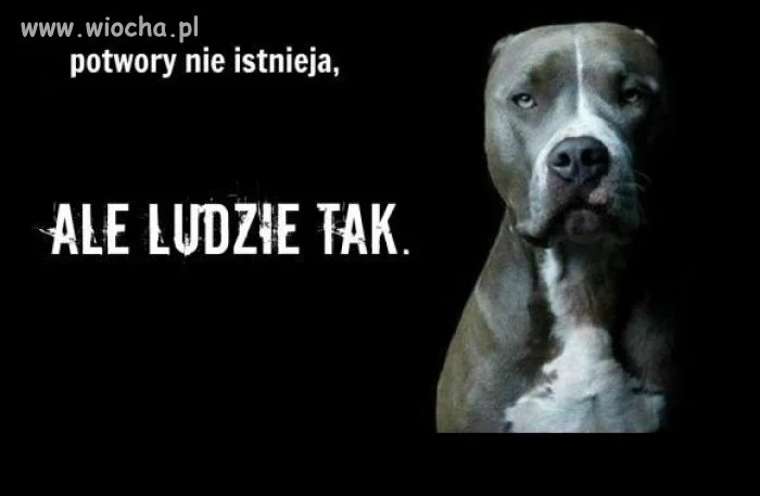Proste słowa, które wiele znaczą...