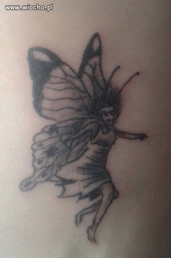 Motyl, Elf, czy cholera wie co jeszcze