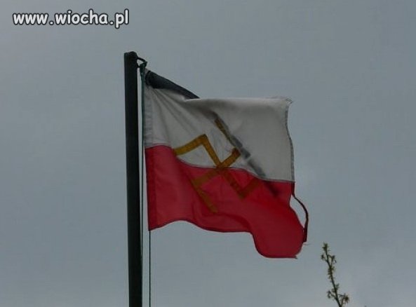 Szacunek dla flagi