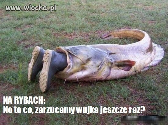 Grunt to właściwa przynęta 