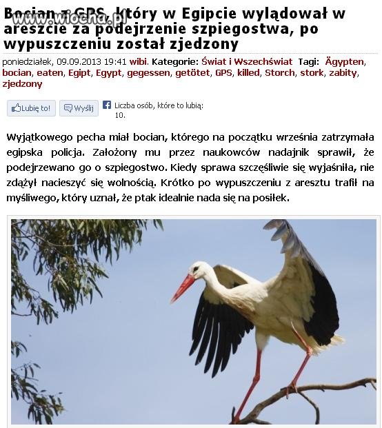 Bociek szpieg za kratkami