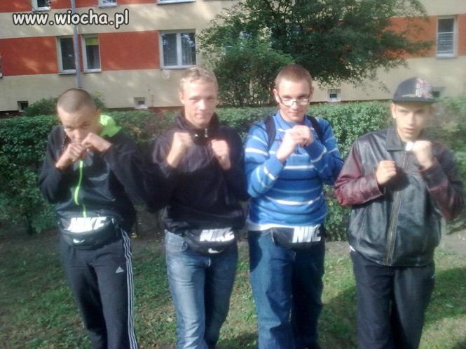 Malinowe cegły mojego życia  