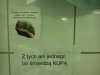 Ręczniki do rąk