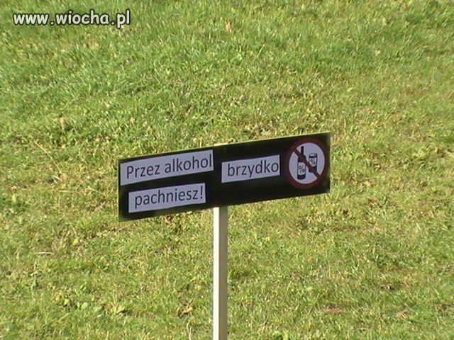No to pora