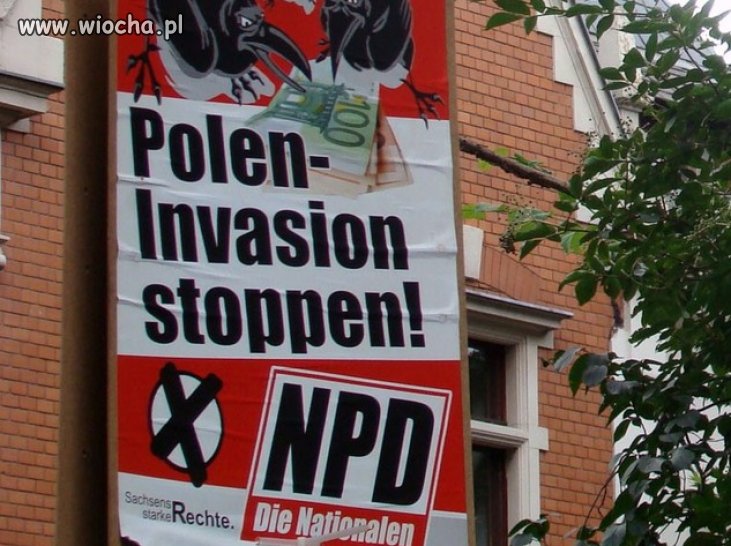 Antypolski plakat przed wyborami w Niemczech