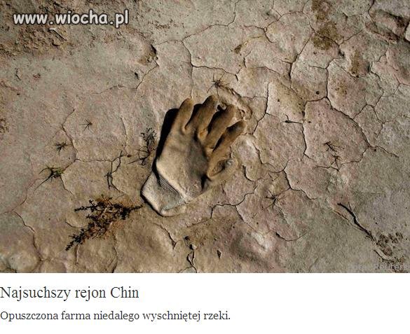 Onet.pl coraz bardziej profesjonalne opisy