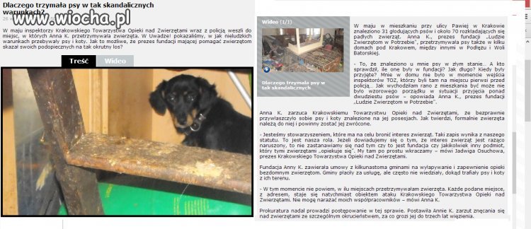W jej mieszkaniu znaleziono 31 głodujących psów 