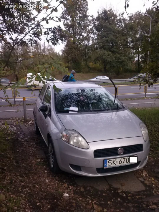 Mam Fiata- więc parkuje gdzie chcę.