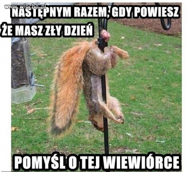 Następnym razem...