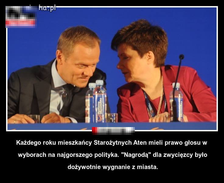Wybrać jednego spośród tych wszystkich patałachów