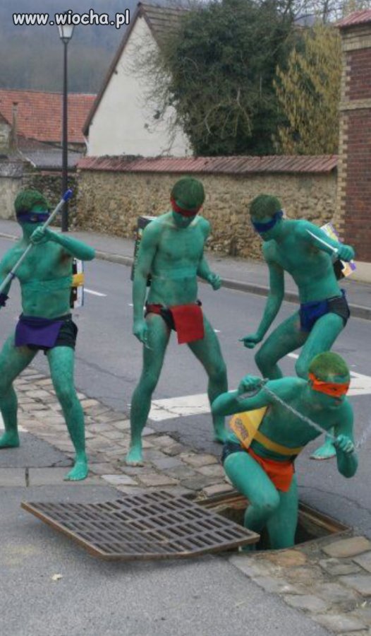 Wojownicze zielone