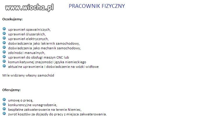 Oferta pracy