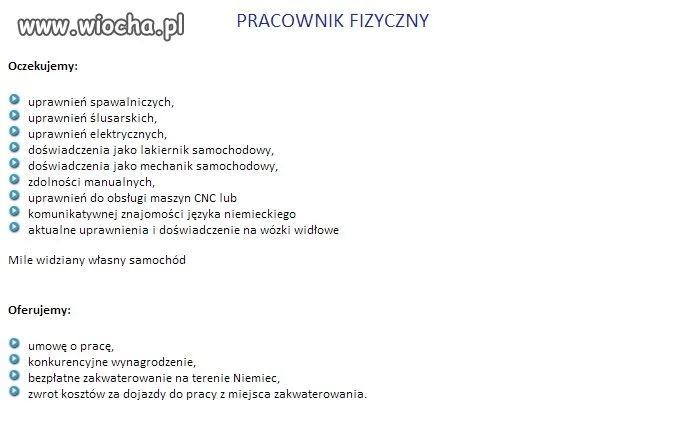 Oferta pracy