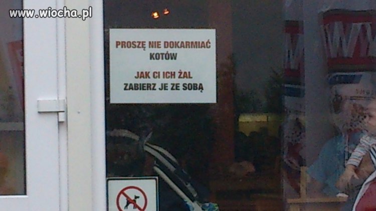 Krótko i na temat ...