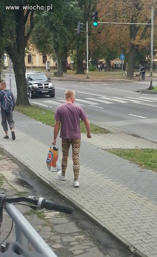 Nowa moda