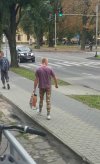 Nowa moda