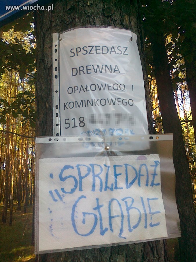 SPSZEDASZ 