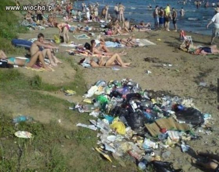 Morza szum, ptaków śpiew, Złota plaża pośród...