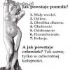 Pomysłowe