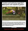 Oto nasza policja...