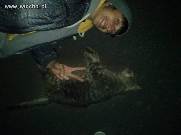 Nie ma to jak popisy z martwym kotem.