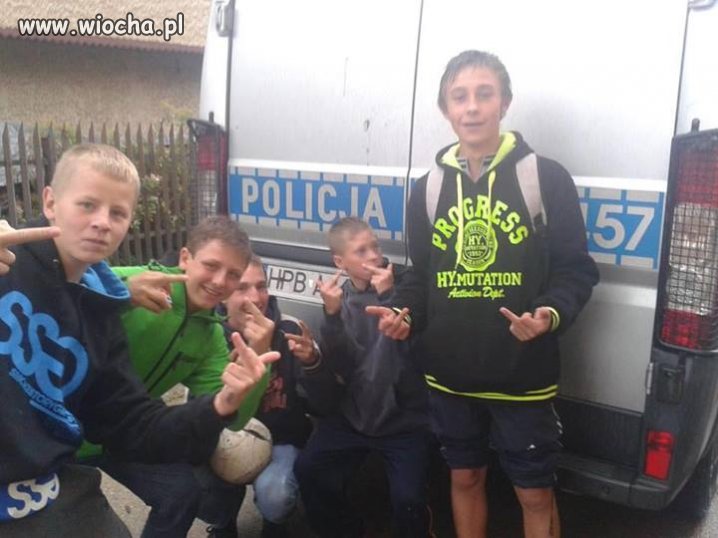 Gimbaza JP 100%