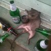 Wczoraj miałam zły dzień