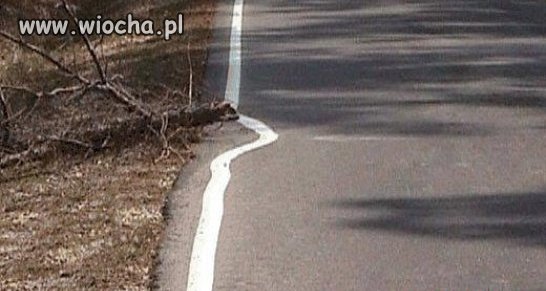 Przynajmniej ominął...