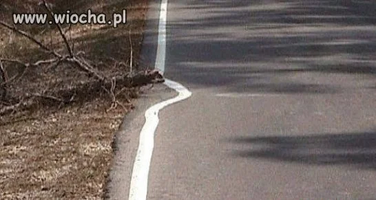 Przynajmniej ominął...