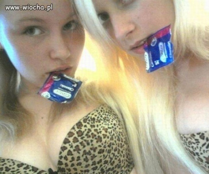 Blond pantery