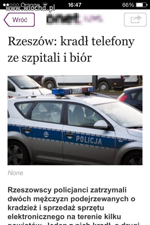 Onet.