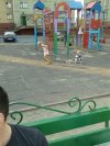 Plac zabaw