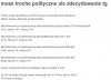 Przyjazne państwo według PO-PSL