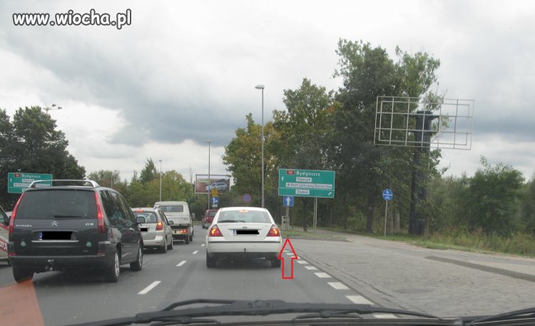 Straż Miejska w Szczecinie znów zaskakuje