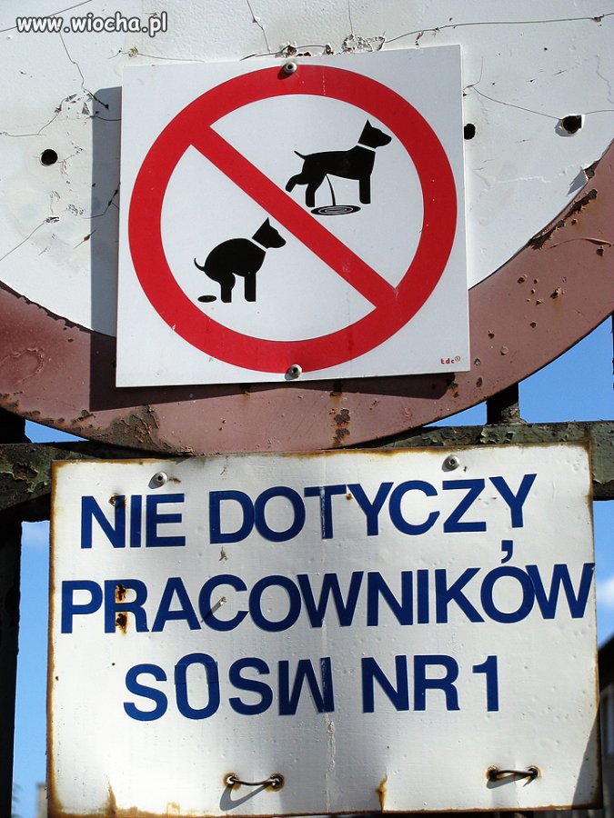 Przywileje pracownicze