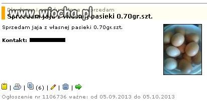 Pasieka z jajami